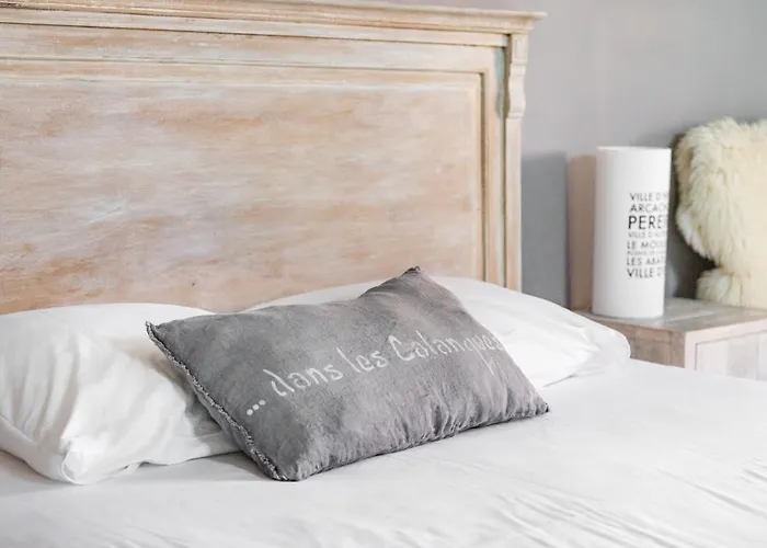 Frenchyhomes☆arcachonnaisedecharme☆plage☆7pers Αρασόν